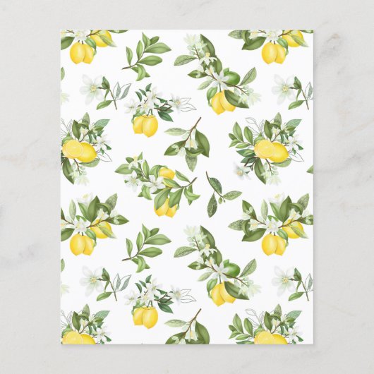 Papier Budget Citrus Citrus Anniversaire Pique-Nique Invi (Dos)