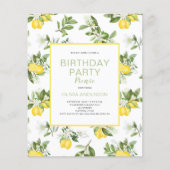 Papier Budget Citrus Citrus Anniversaire Pique-Nique Invi (Devant)