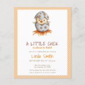 Papier Budget Cute Baby shower d'éclosion d'oiseaux Invit (Devant)