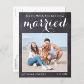 Papier Budget de mariage de chien de compagnie rustique P (Devant / Derrière)