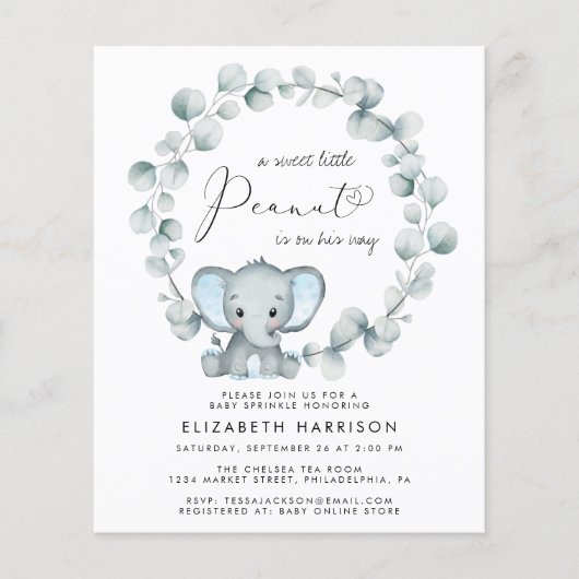 Papier Budget Elephant Baby Boy Sprinkle Invitation (Devant)