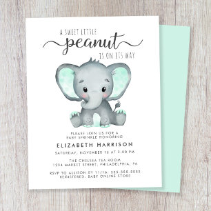 Papier Budget Elephant Mint Baby Sprinkle Invitation