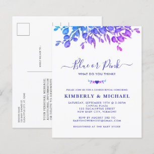 Papier Budget Eucalyptus Baby Genre Révéler bleu rose