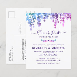 Papier Budget Eucalyptus Baby Genre Révéler Rose Bleu