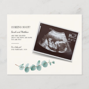 Papier Budget Eucalyptus Foliage Grossesse Bébé Révélatio