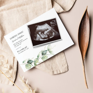 Papier Budget Eucalyptus Grossesse Bébé Genre Révélation