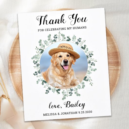 Papier Budget Eucalyptus Pet Photo Chien Mariage de Merci