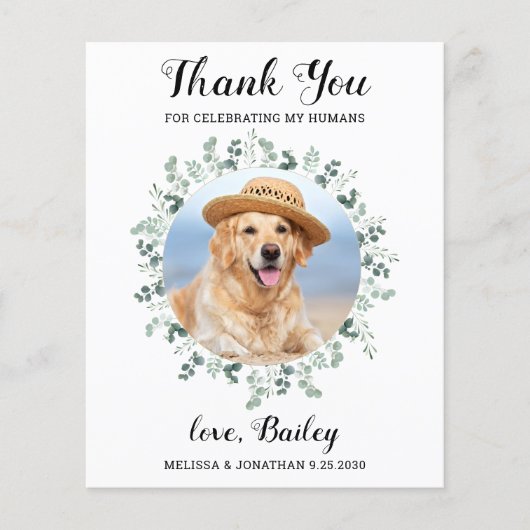 Papier Budget Eucalyptus Pet Photo Chien Mariage de Merci (Devant)
