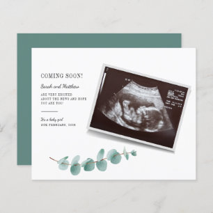 Papier Budget Eucalyptus Verdure Grossesse bébé Révélatio