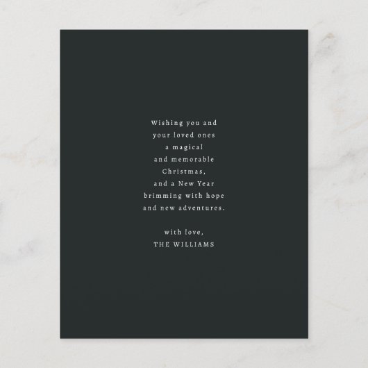 Papier Budget Feuillage Vert Joyeux Noël Photo (Dos)