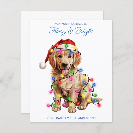 Papier Budget Golden Retriever Dog Furry & Bright Card (Devant / Derrière)