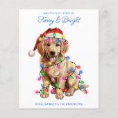 Papier Budget Golden Retriever Dog Furry & Bright Card (Devant)