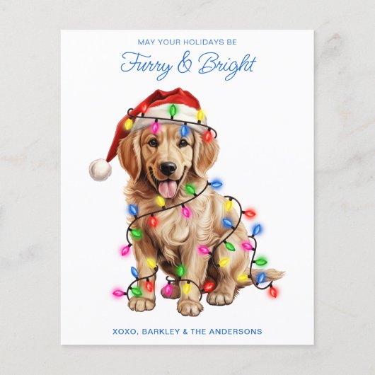 Papier Budget Golden Retriever Dog Furry & Bright Card (Devant)