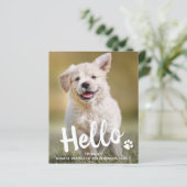 Papier Budget Hello New Pet Photo Chien Chien Faire-part (Debout devant)