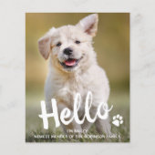 Papier Budget Hello New Pet Photo Chien Chien Faire-part (Devant)