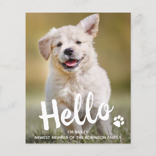 Papier Budget Hello New Pet Photo Chien Chien Faire-part (Devant)