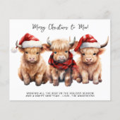 Papier Budget Highland Cow Calf Joyeux Noël (Devant)