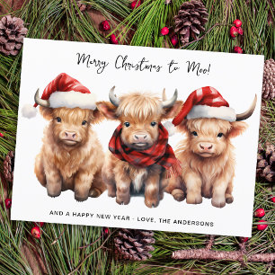 Papier Budget Highland Cow Calf Joyeux Noël