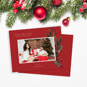 Papier Budget Holly Berry H Photo Fêtes ou Noël R