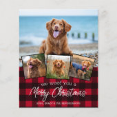 Papier Budget Joyeux Noël Animaux de compagnie Photo Roug (Devant)