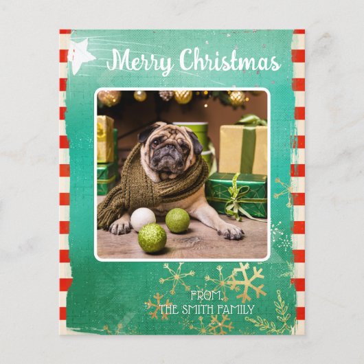 Papier Budget Joyeux Noël Pet Photo (Devant)