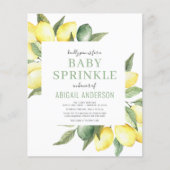 Papier Budget Lemon Moderne Baby Sprinkl Invitation (Devant)