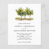 Papier Budget Lemon Tree Photo QR Code Mariage Invitation (Devant)