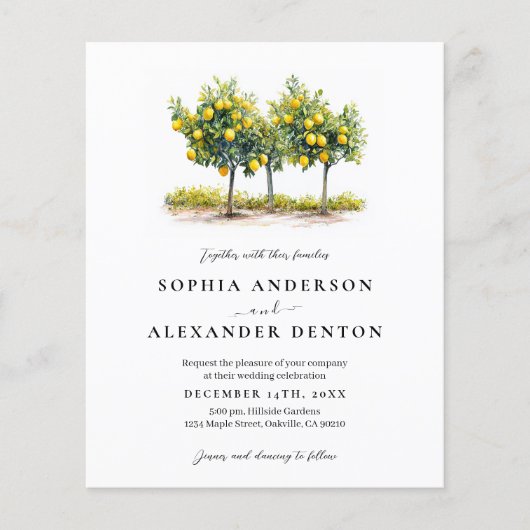 Papier Budget Lemon Tree Photo QR Code Mariage Invitation (Devant)
