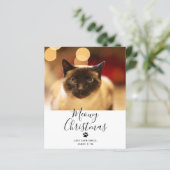 Papier BUDGET Meowy Noël Animaux de compagnie Cat Christm (Debout devant)