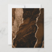Papier Budget Mocha Brown Gold Agate Noir Enregistrer la  (Dos)