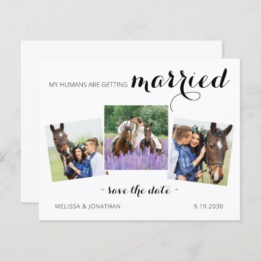 Papier Budget Modern 3 Photo Horse Enregistrer La Date In (Devant / Derrière)