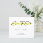 Papier Budget Moderne Script Minimaliste Enregistrer La D (Debout devant)
