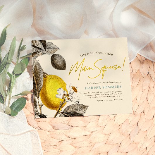 Papier Budget Moderne & Vintage Squeeze Mariage Shower