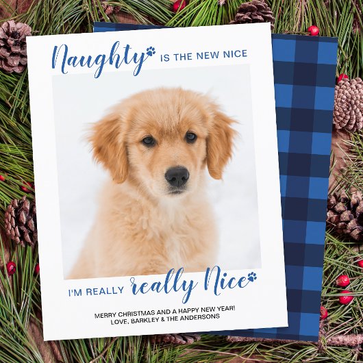 Papier Budget Naught Nice Funny Pet Photo Holiday Card