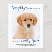Papier Budget Naught Nice Funny Pet Photo Holiday Card (Devant)