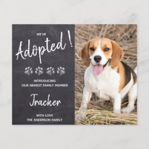 Papier Budget Nous avons adopté Secourt de chien Nouveau 