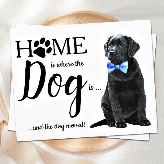 Papier Budget Nous avons déménagé de mignons chiens de Fa