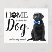 Papier Budget Nous avons déménagé de mignons chiens de Fa (Devant)