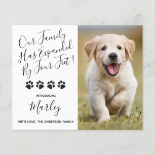 Papier Budget Nouveau animal de compagnie agrandi par Chi