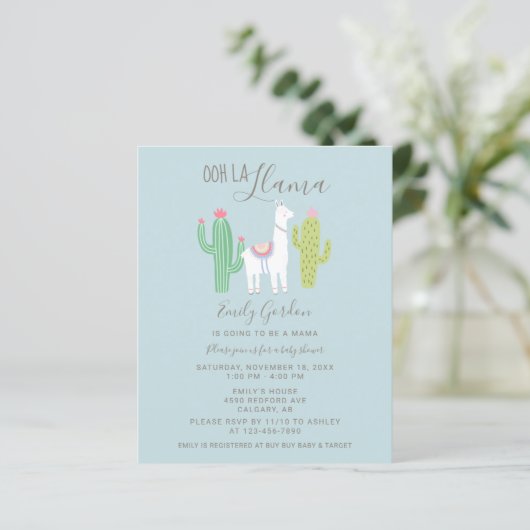Papier Budget Ooh La Llama Baby shower mignon bleu & marr (Debout devant)