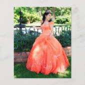 Papier Budget Parties scintillant argent Photo Quinceaner (Dos)