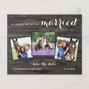 Papier Budget Pays 3 Photo Cheval Mariage Enregistrer La 