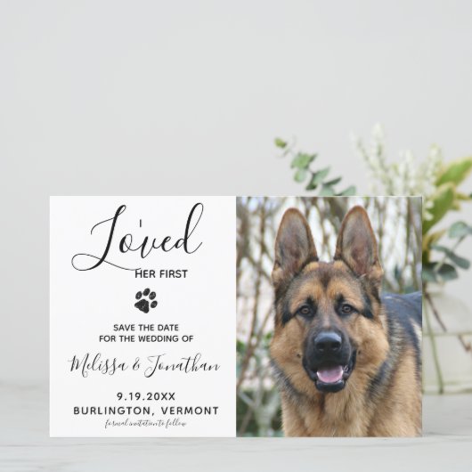 Papier Budget Pet Photo Chien Mariage Mariage Enregistrer (Debout devant)