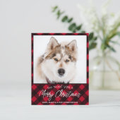 Papier Budget Pet Photo Chien rouge Plaid Joyeux voiture (Debout devant)
