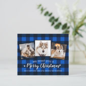 Papier Budget Pet Photo Collage Chien de vacances Plaid b (Debout devant)