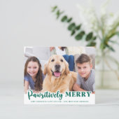 Papier Budget Pet Photo Joyeux Joyeux Fêtes De Chien (Debout devant)