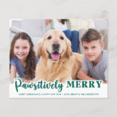 Papier Budget Pet Photo Joyeux Joyeux Fêtes De Chien (Devant)