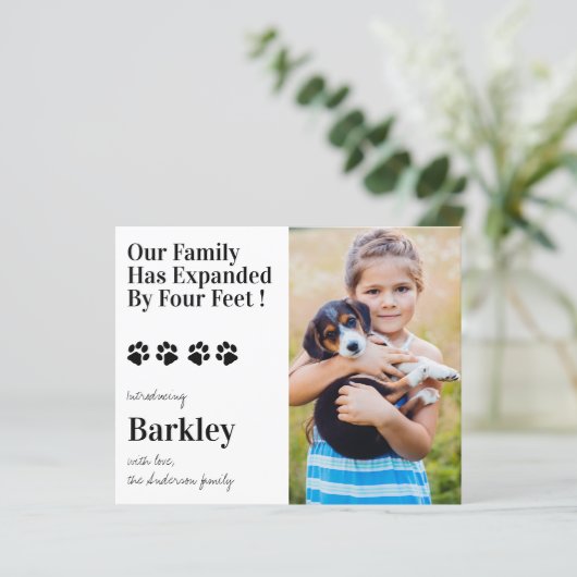 Papier Budget Photo Chien Chien Chien Chien Nouveau Anima (Debout devant)