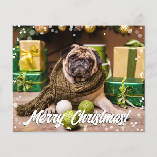 Papier Budget Photo moderne (Devant)