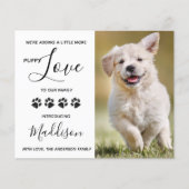 Papier Budget Puppy Log Chien New Pet Faire-part (Devant)